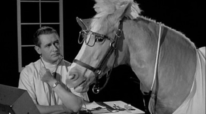 ‘Mister Ed’ (Season 3): Classic sitcom is still funny, but its rigid structure begins to show